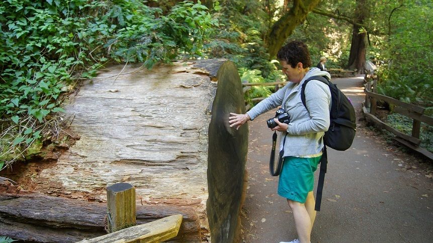 SF: Guided Muir Woods Tour & Hop-On Hop-Off Tour (Save 15%) - Sausalito’s 45 Minutes: Coastal Views With Time Limits