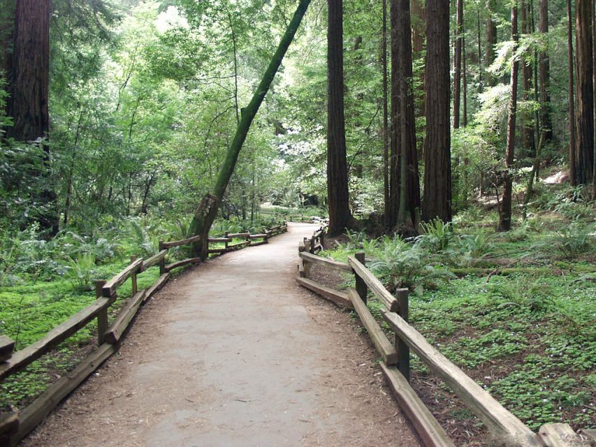 SF: Guided Muir Woods Tour & Hop-On Hop-Off Tour (Save 15%) - Price and Value: Does $140 Make Sense?