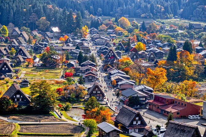 Shirakawago & Takayama Bus Tour from Nagoya w/Optional Lunch - Price and what you actually get for $65.78
