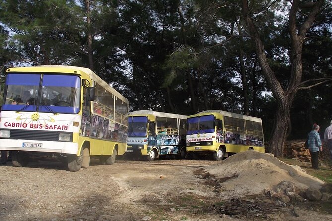 Side Cabrio Bus Tour With Green Lake And Manavgat Waterfall - Side + a guided intro: what the short first stop gives you