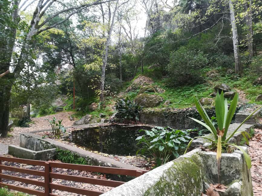 Silves and Monchique Mountain: Guided Bus Tour - Monchique Mountains: Why Fóia Is the Main Photo Stop