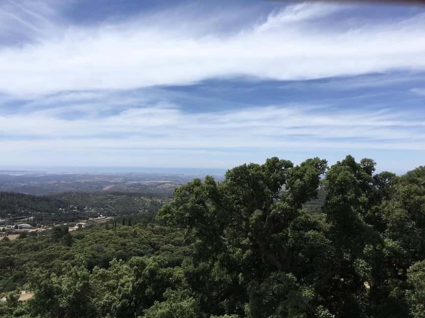 Silves and Monchique Mountain: Guided Bus Tour - Who This Tour Fits Best (and Who Might Feel Rushed)