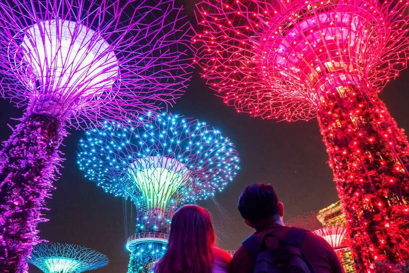 Singapore: Big Bus Night Tour by Open-Top Bus & Live Guide - Gardens by the Bay: Garden Rhapsody at Supertree Grove