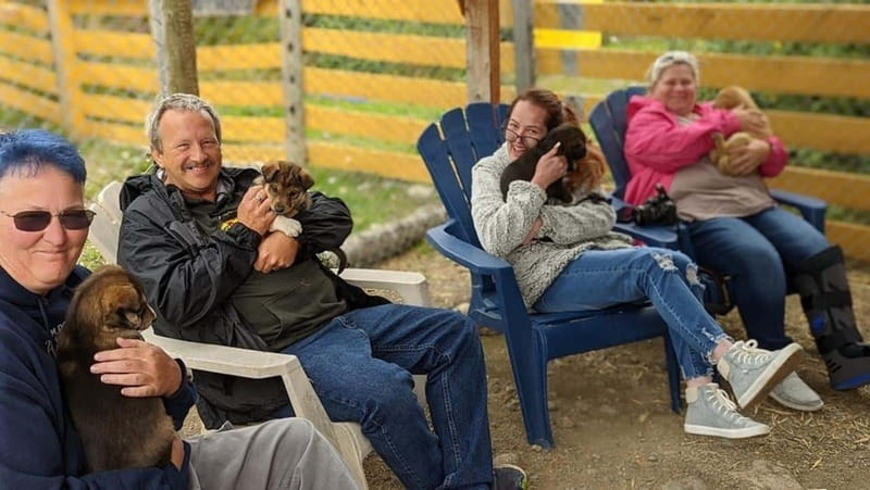 Skagway: Klondike Highway & Yukon Bus Tour with Husky Kennel - Tagish Lake Dog Sledding Camp: puppies, mushing, and real trainers