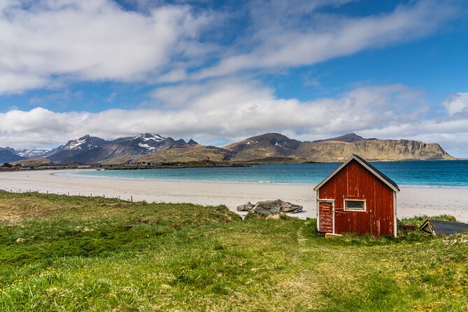 Special Summer Cruise Bus Tour of Lofoten - Lofoten in one day: what this 6-hour cruise bus route gives you