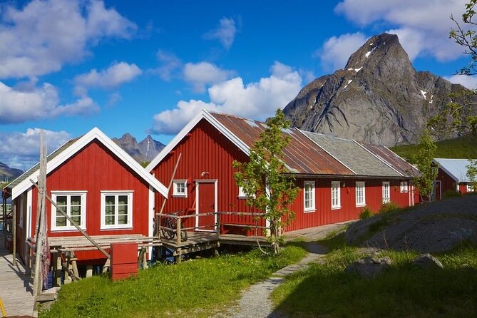Special Summer Cruise Bus Tour of Lofoten - Price and time: is $156.45 worth a cruise-day slot?