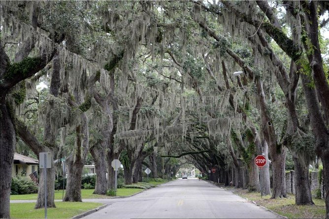 St. Augustine Hop-On Hop-Off Trolley Tour - Should you book the St. Augustine trolley?
