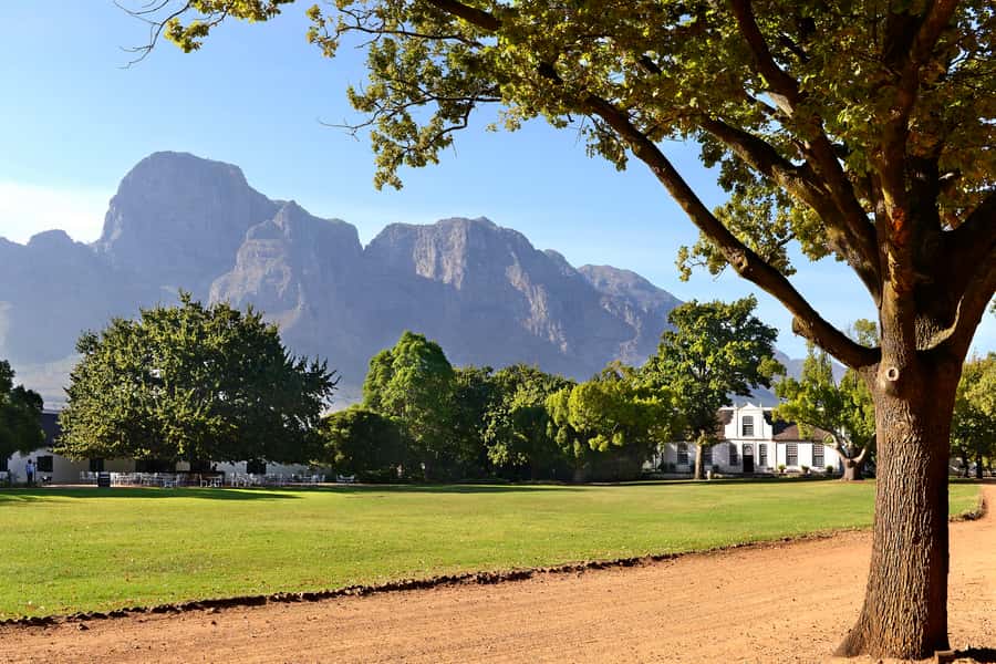 Stellenbosch: Eastern Route Hop-On Hop-Off Wine Tour - Pickup in Stellenbosch Central: simple start, light packing