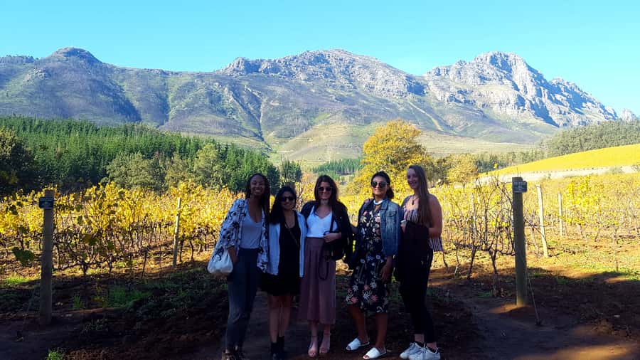 Stellenbosch: Eastern Route Hop-On Hop-Off Wine Tour - Price and value: $29 is the ride, tastings are extra
