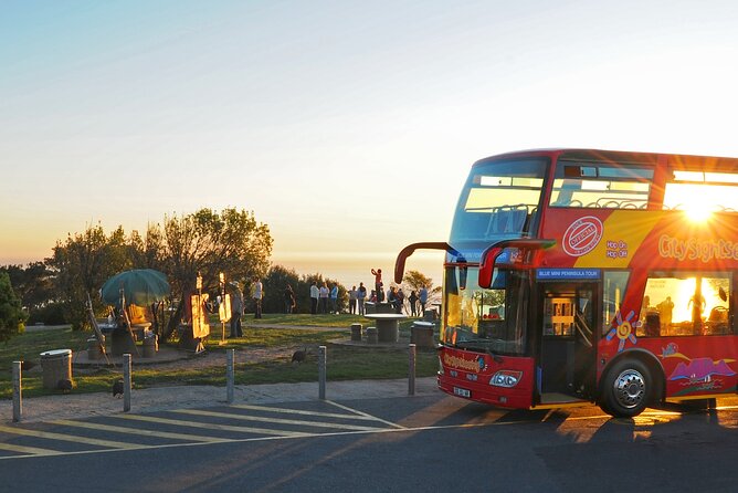 Summer Sunset Bus Tour in Cape Town - The Cape Town sunset route that saves you time