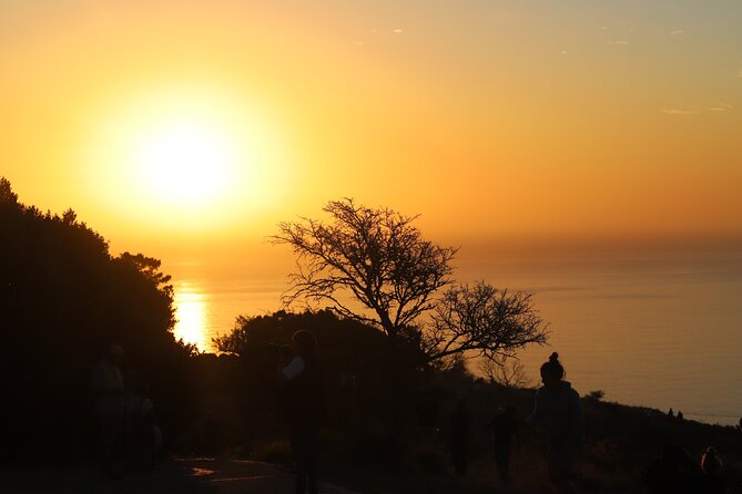 Summer Sunset Bus Tour in Cape Town - Open-top bus: great views, a little wind