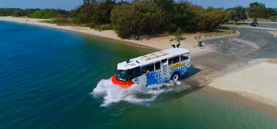 Surfers Paradise: Guided Gold Coast Amphibious Bus Tour - How the Duck-Themed Amphibious Ride Works (Bus to Cruise Boat)