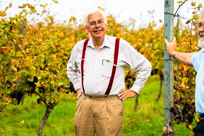 Sussex Vineyard & Winery Bus Tour on Iconic Vintage London Bus - Court Gardens Farm: vineyard tour, sparkling tasting, and picnic in the vines