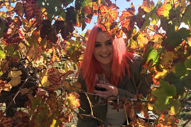 Swan Valley Winery Experience - Full Day Coach Tour - Swan Valley Winery Tour at a Glance: what $114 buys you