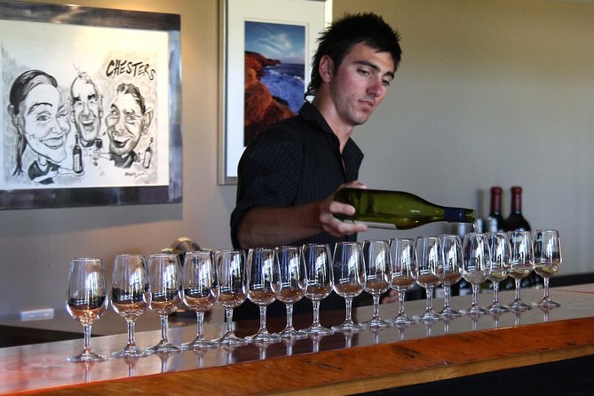 Swan Valley Winery Experience - Full Day Coach Tour - Vineyard platter lunch with wine: Sittella or Edgecombe-style options