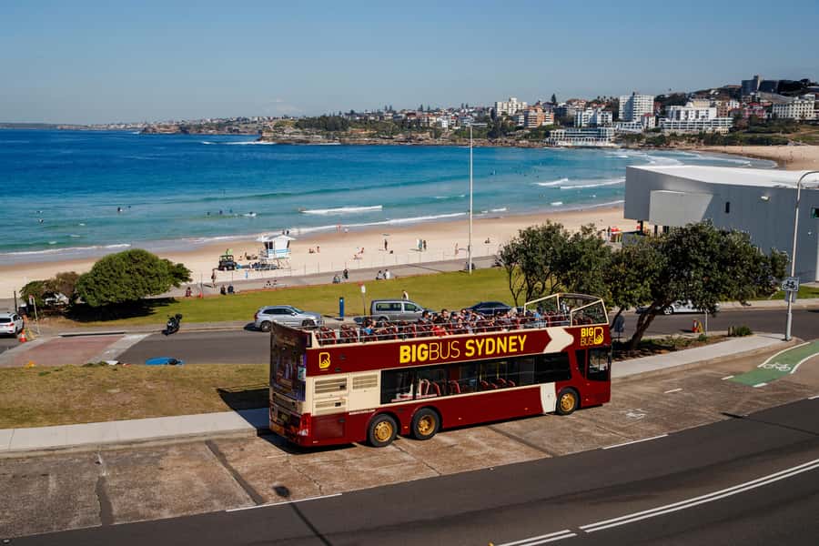 Sydney: Big Bus Hop-On Hop-Off Tour with Optional Cruise - Key takeaways before you buy