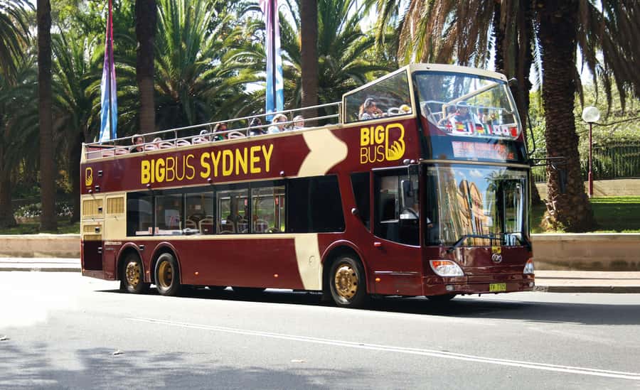 Sydney: Big Bus Hop-On Hop-Off Tour with Optional Cruise - Audio, photos, and the real comfort factor on open-top buses