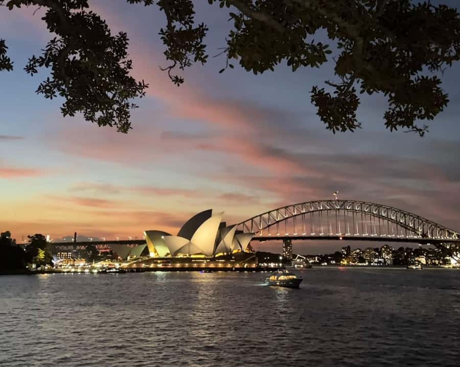 Sydney: Big Bus Panoramic Night Tour by Open-Top Bus - Key things to know before you go