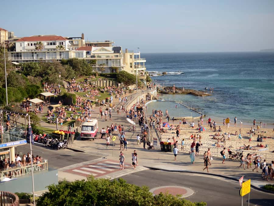 Sydney: City Highlights Guided Bus Tour - Comfortable coach time: how the route works on a real day