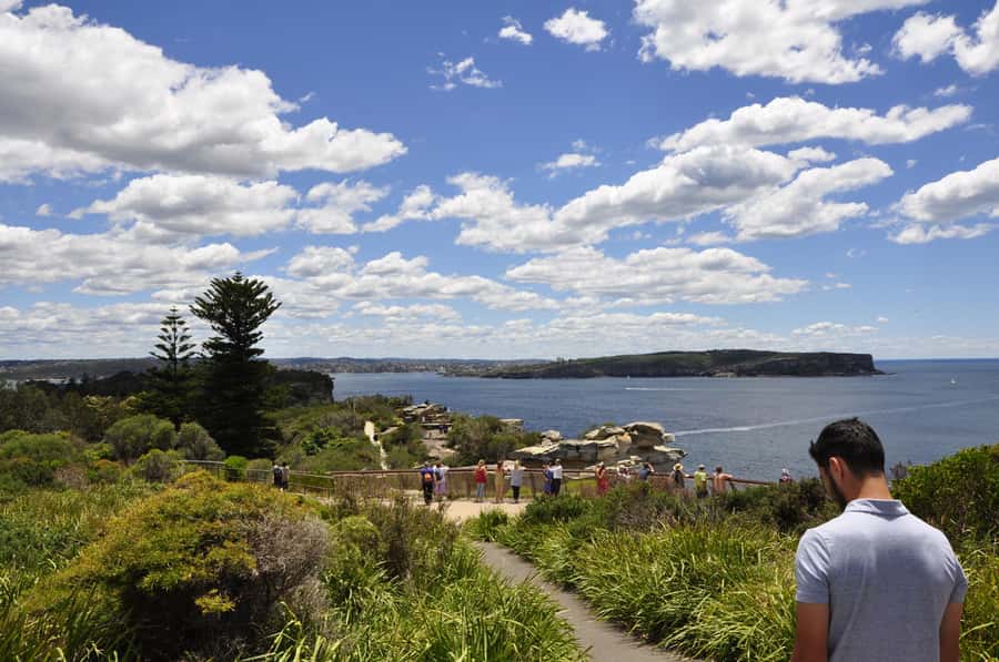 Sydney: City Highlights Guided Bus Tour - From The Domain to the Botanical Gardens: getting grounded fast