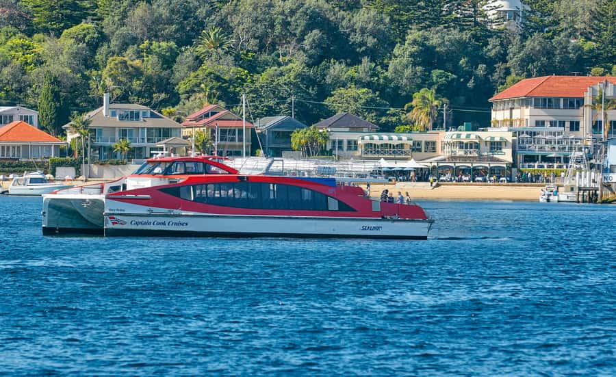 Sydney: Hop-on Hop-off Harbour Cruise with Commentary - Taronga Zoo: Wildlife Time, With a Timing Window