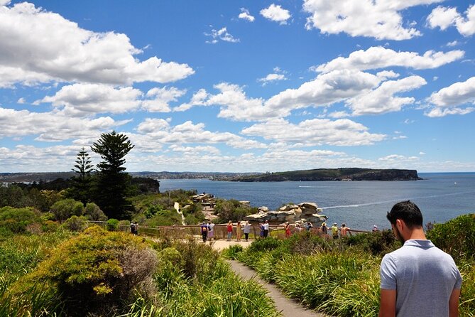 Sydney Sightseeing Bus Tour with Local Guide - Key highlights at a glance