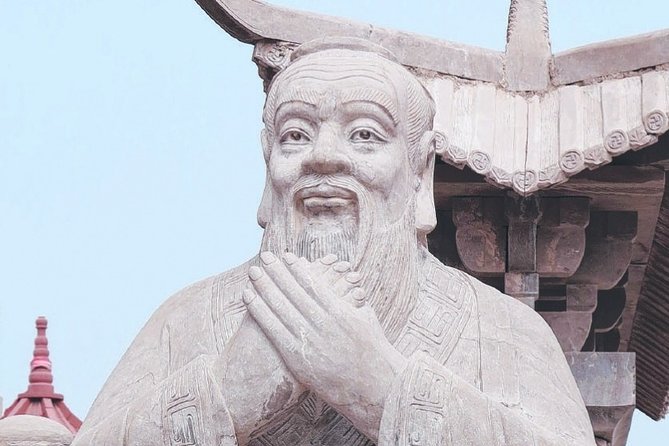 Tamborine Rainforest Skywalk + Hop on Hop off Bus - Who Should Book This Tour—and Who Might Skip It