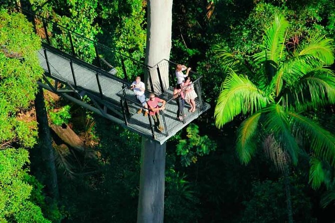 Tamborine Rainforest Skywalk + Hop on Hop off Bus - Tamborine National Park: Rainforest, Waterfalls, and Volcanic-Looking Terrain