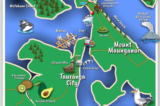 TAURANGA City & Scenic Sightseeing 2-hour Local Bus Tour - Key Things That Make This Tour Worth Your Time