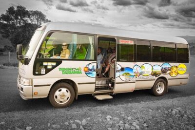 TAURANGA City & Scenic Sightseeing 2-hour Local Bus Tour - Getting On Board: Pickup, Vehicle Size, and the Comfort Factor