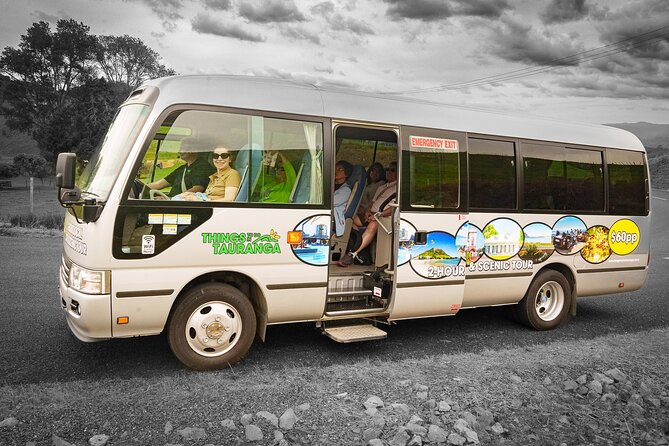 TAURANGA City & Scenic Sightseeing 2-hour Local Bus Tour - Getting On Board: Pickup, Vehicle Size, and the Comfort Factor