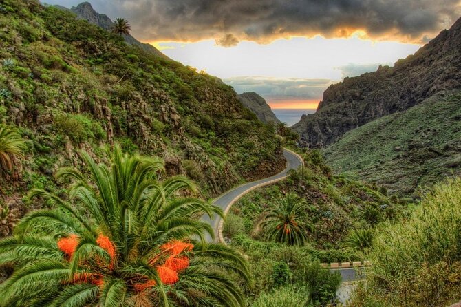 Teide-Icod-Garachico-Masca (Most popular bus tour in Tenerife) - Quick hits before you go