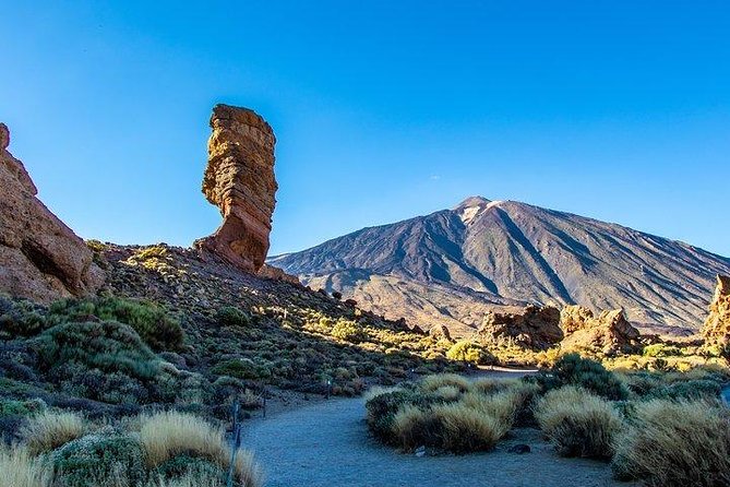 Teide-Icod-Garachico-Masca (Most popular bus tour in Tenerife) - El Drago Milenario in Icod: the stop with real age