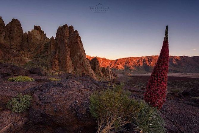 Teide-Icod-Garachico-Masca (Most popular bus tour in Tenerife) - Masca Valley: pirate cliffs and real road drama