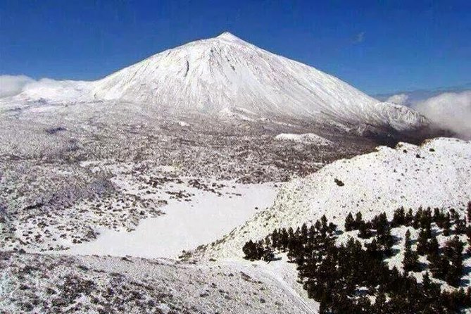 Teide-Icod-Garachico-Masca (Most popular bus tour in Tenerife) - Price check: is $78.10 worth it