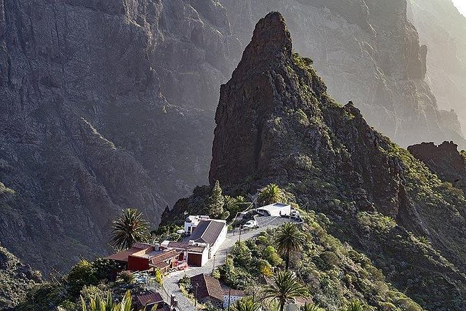 Teide-Icod-Garachico-Masca (Most popular bus tour in Tenerife) - Pickup in Puerto de la Cruz: the part you should get right