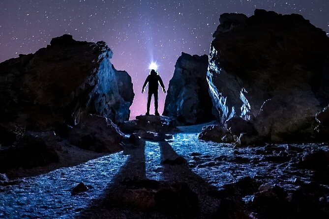 TEIDE NIGHT Astronomy Stargazing Bus Tour, Meal & Drinks included! - Pickup, Start Time, and How the Evening Really Unfolds