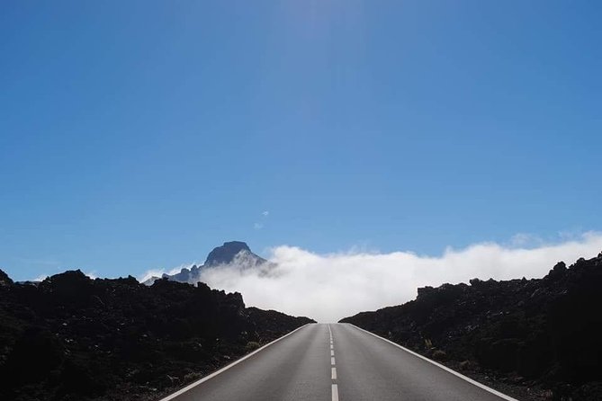 TEIDE NIGHT Astronomy Stargazing Bus Tour, Meal & Drinks included! - Food and Drinks: Worth It or Just a Bonus?