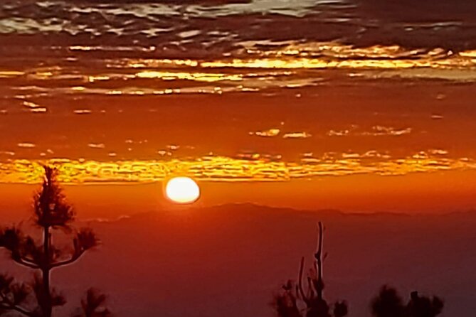 TEIDE NIGHT, Stargazing Bus Tour, Meal & Drinks included! - Before the stars: the 3-course Canarian meal in the mountains
