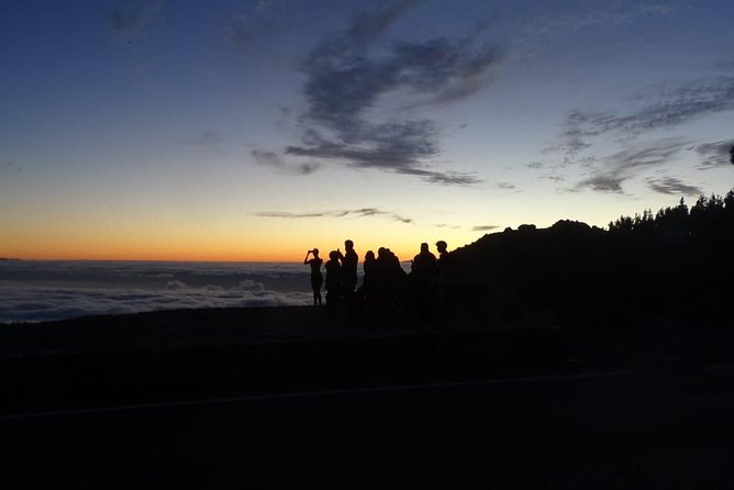 TEIDE NIGHT, Stargazing Bus Tour, Meal & Drinks included! - Telescopes, lasers, and learning the constellations (without pretending you know them)