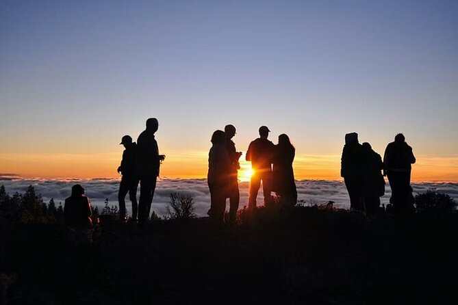 TEIDE NIGHT, Stargazing Bus Tour, Meal & Drinks included! - Comfort reality check: it can be cold, windy, and longer than you think