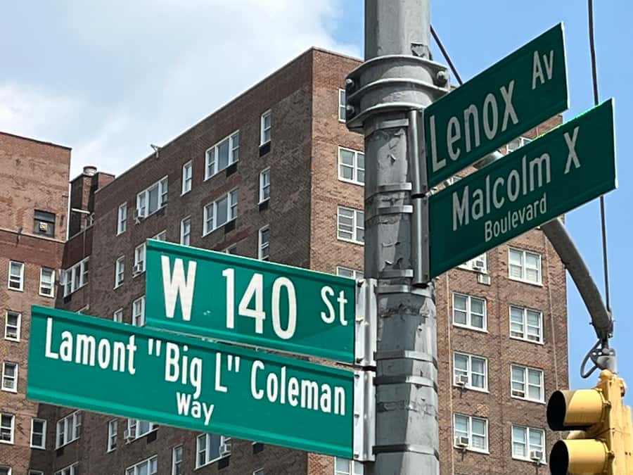 The Birthplace of Hip Hop Bus Tour - Who should book this hip-hop birthplace bus tour
