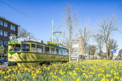 The Hague: Hop-on Hop-off Old-Fashioned Heritage Tram Tour - Where You Board in The Hague (and How Not to Get Lost)