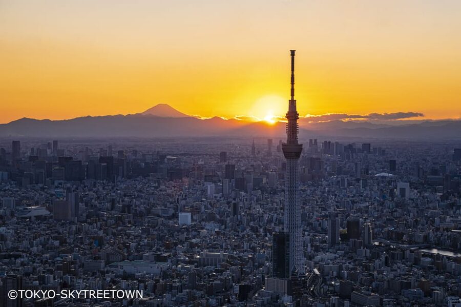 Tokyo: 1 Day Bus Tour with Meiji-Jingu,Odaiba,lunch&Skytree - Key highlights worth planning for