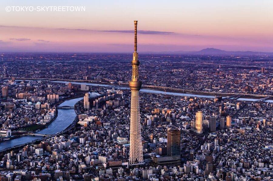 Tokyo: 1 Day Bus Tour with Meiji-Jingu,Odaiba,lunch&Skytree - Price and value: what $83 buys you (and what it doesn’t)