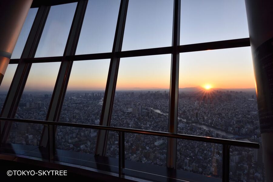 Tokyo: 1 Day Bus Tour with Meiji-Jingu,Odaiba,lunch&Skytree - Tokyo Skytree Tembo Deck (350m): the big finish with skyline pay-off