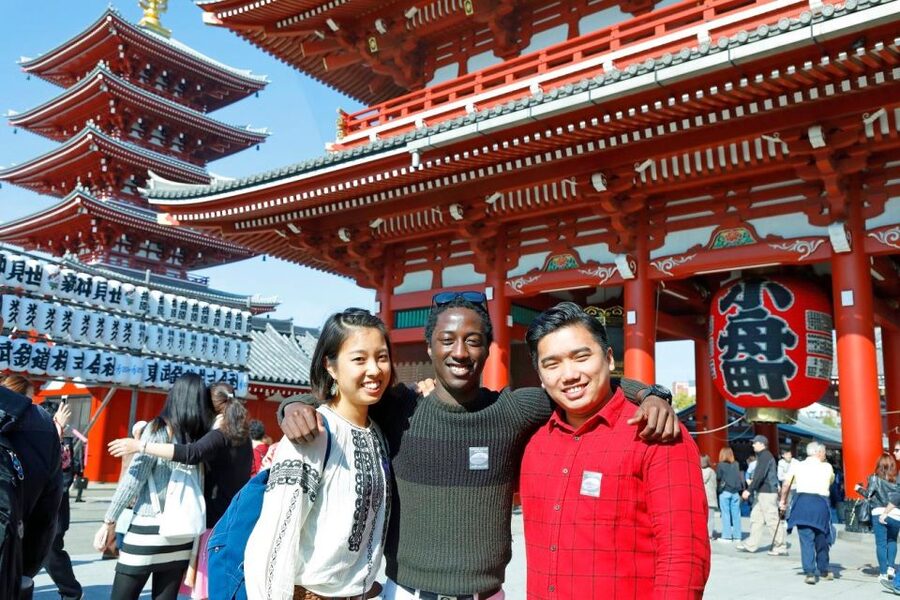 Tokyo: A Half-Day Trip Bus Tour in the Morning - Price and Value: Why About $40 Can Make Sense in Tokyo