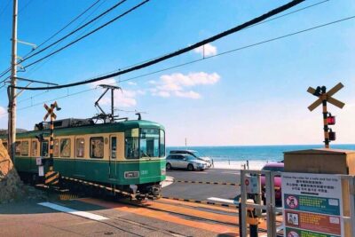 Tokyo: Bus Tour to Kamakura Great Buddha & Enoshima with Pickup - The shuttle reality: pickup, meeting point, and your actual pace