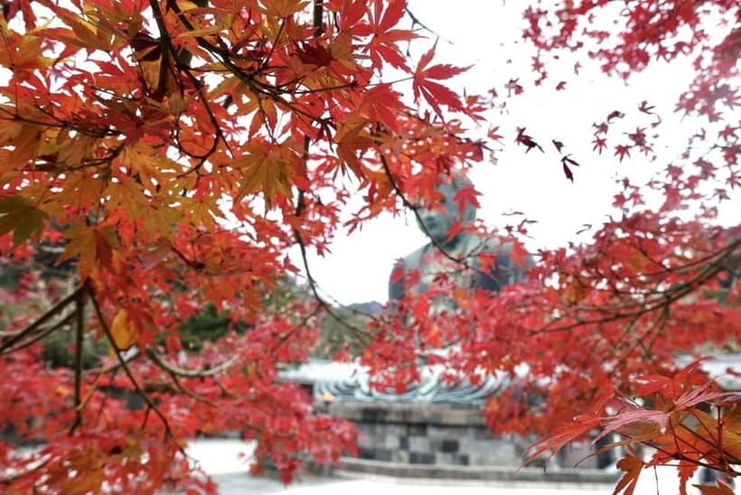 Tokyo: Kamakura & Enoshima Day Trip including Temple Tickets - Who should book this tour—and who should go at their own pace