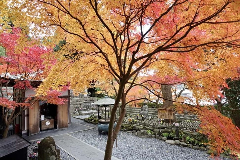 Tokyo: Kamakura & Enoshima Day Trip including Temple Tickets - From Tokyo to Kamakura, with a guide who keeps the day moving